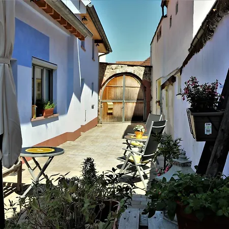 Blaues Haus Edenkoben